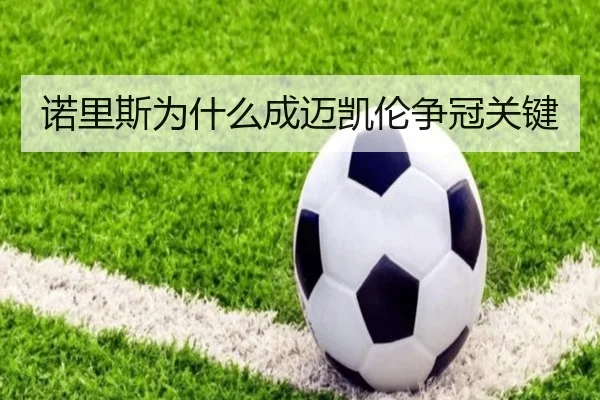 诺里斯为什么成迈凯伦争冠关键